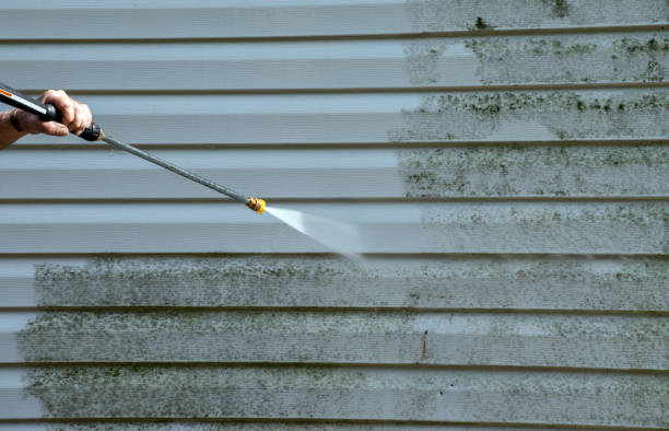 Best Roof Cleaning and Mildew Removal in Lakeside, TX